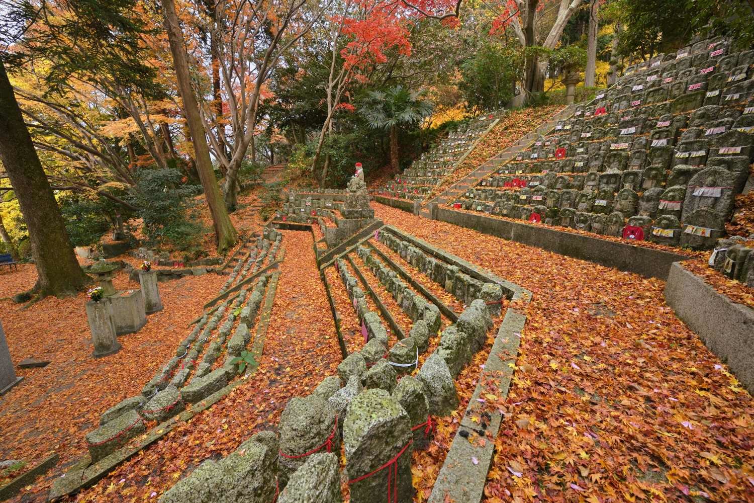 紅葉 33 最終回      奈良県_d0286954_05455799.jpg