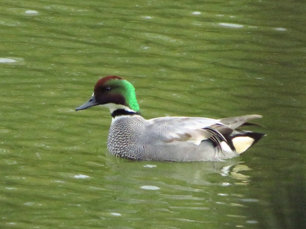 a0018655_09475560.jpg