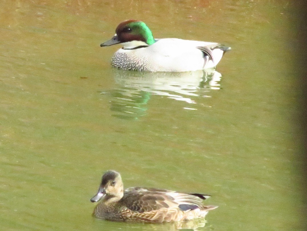 a0018655_09475571.jpg