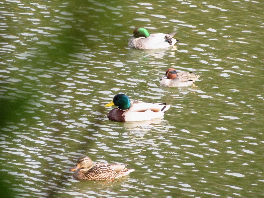 a0018655_09485726.jpg