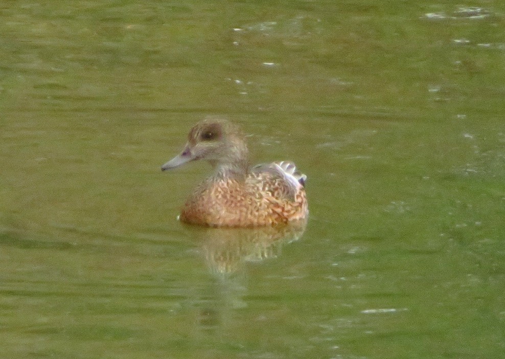 a0018655_09485779.jpg