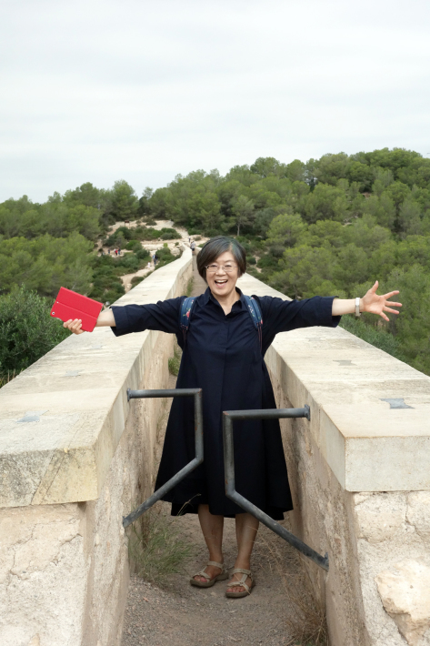 タラゴナの悪魔の橋 PONT DEL DIABLE ローマ時代の遺跡 ラス・ファレラス水道橋 への路線バスでの行き方 2018年9月 バルセロナの旅(10)_f0117059_10093763.jpg