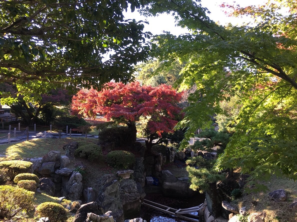 b0145863_23415350.jpeg