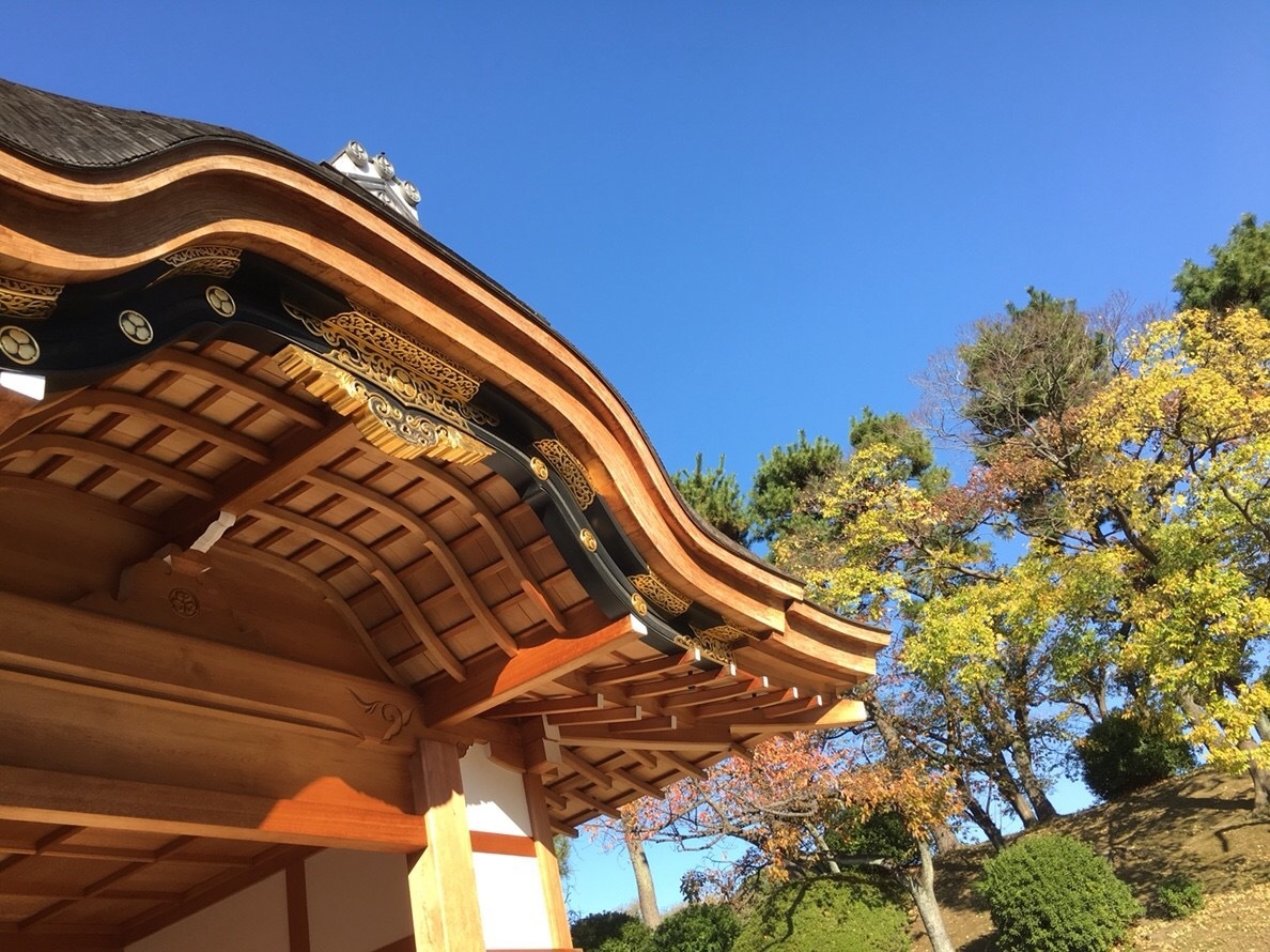 b0145863_23452589.jpeg