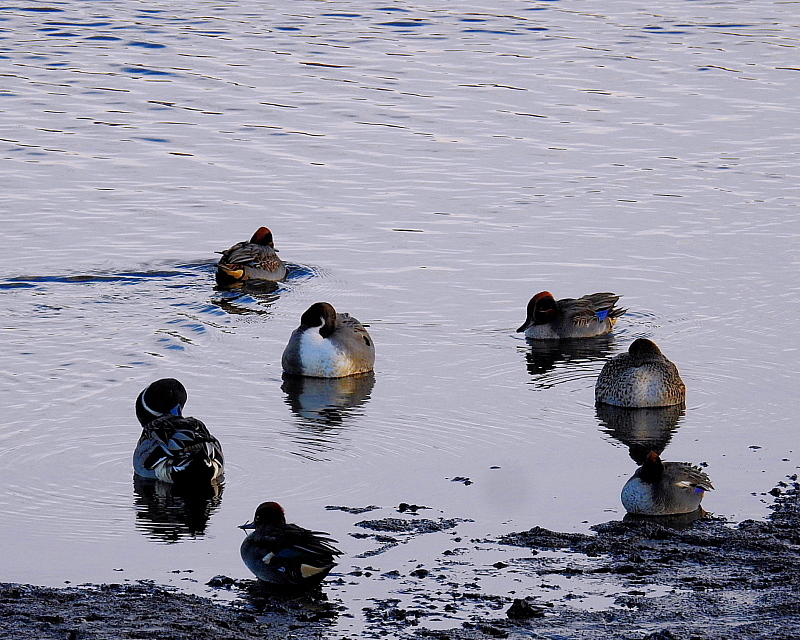c0305565_17314205.jpg