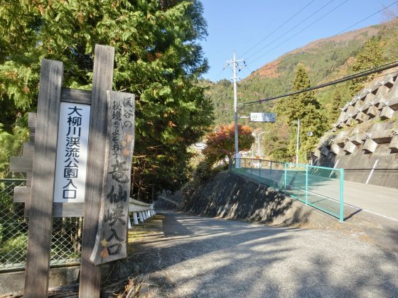 11/22～25、伊豆・山梨旅行、その5：山梨「大柳川渓谷」_e0045768_21493753.jpg