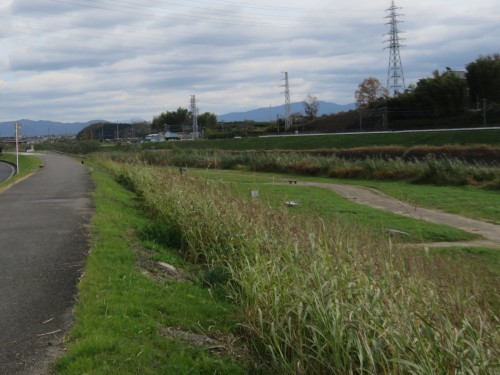 f0259373_11395155.jpg