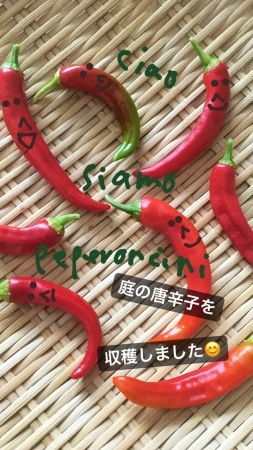 c0183880_11145734.jpeg