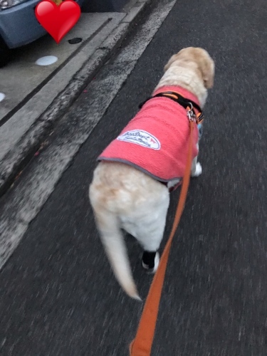 f0315081_21095033.jpeg