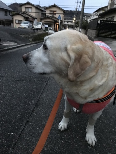 f0315081_21111742.jpeg