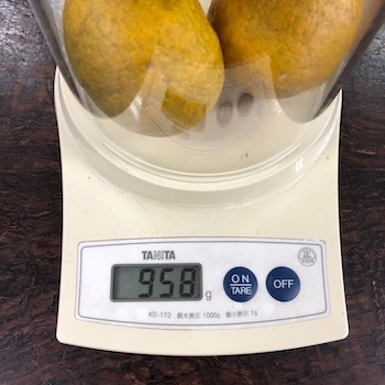 柑橘類の蒸留はこれからがシーズン_a0191183_15283705.jpeg