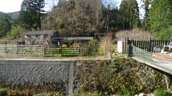 c0212083_15242277.jpg