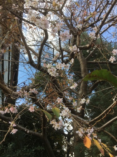 a0326292_09241966.jpeg