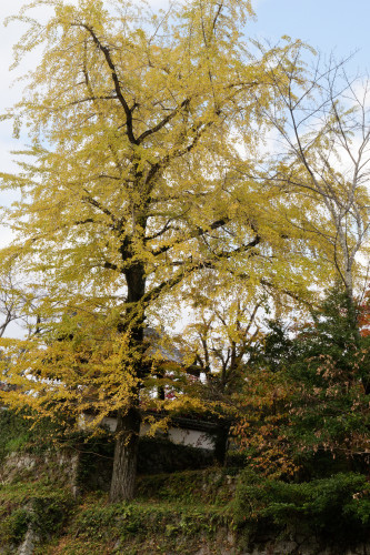 e0366896_11075807.jpg