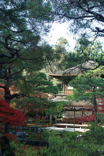 f0126896_20404207.jpg
