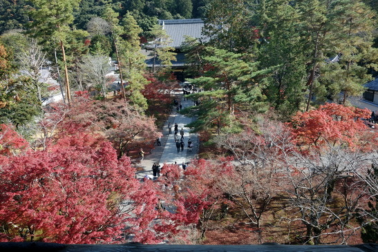 f0126896_20440368.jpg