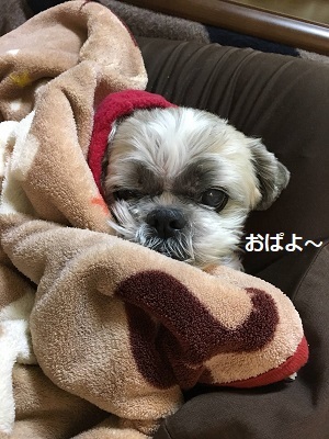 f0372998_17531107.jpg