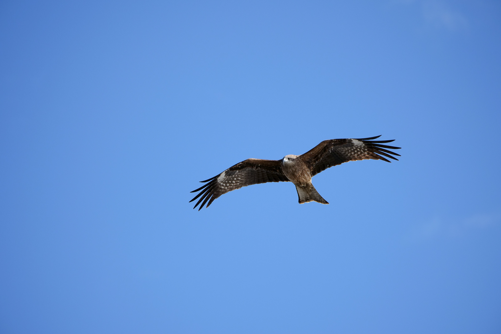 c0240799_10251570.jpg
