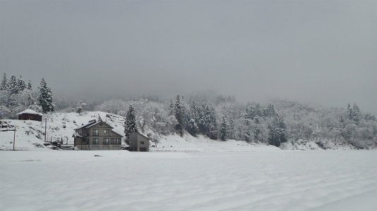 c0336902_18214145.jpg