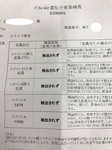 ジャックくん、抜糸の通院_f0242002_14211871.jpg