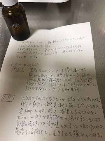 ジャックくん、抜糸の通院_f0242002_19430354.jpg