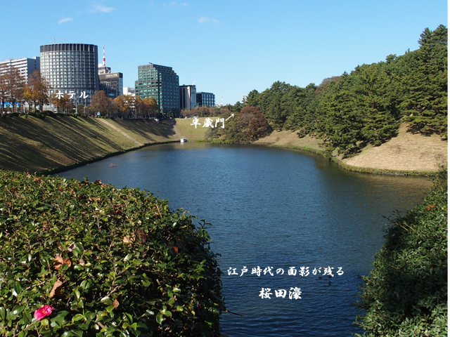 e0039703_11192440.jpg