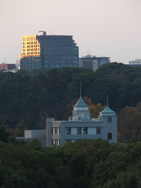 e0039703_20412585.jpg