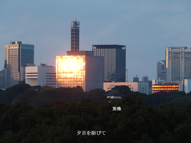 e0039703_20465917.jpg