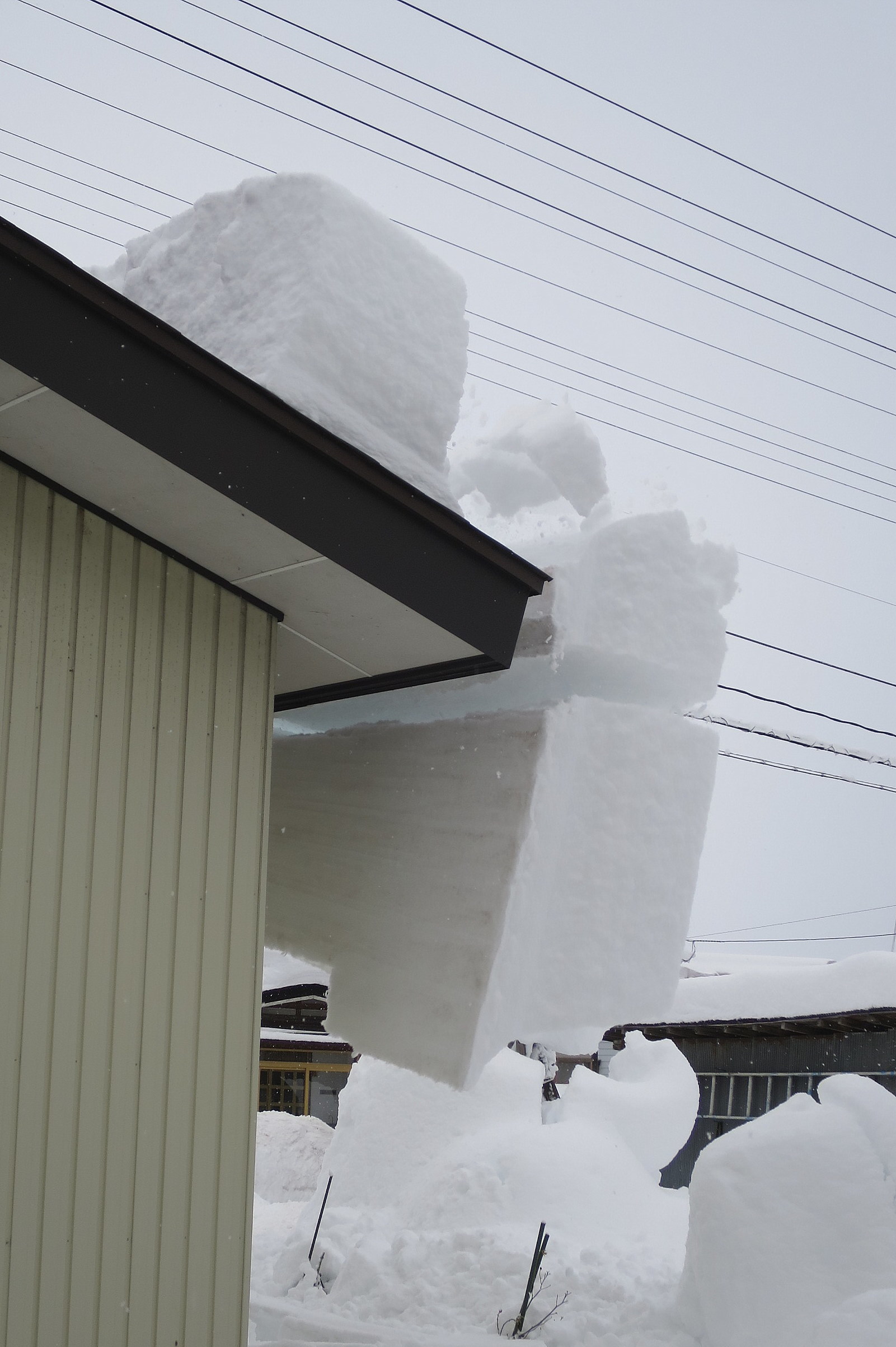 屋根の雪落ちる 長女yのつれづれ記