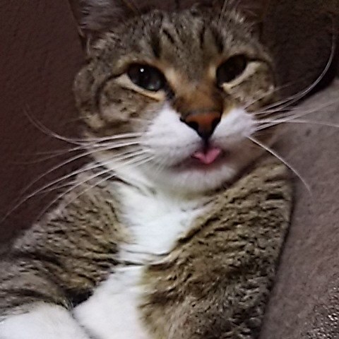 ご挨拶_f0316507_08582130.jpg