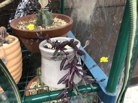d0237309_21455414.jpeg