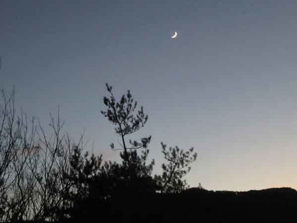 e0001110_08533080.jpg