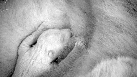 a0151913_20184354.jpg