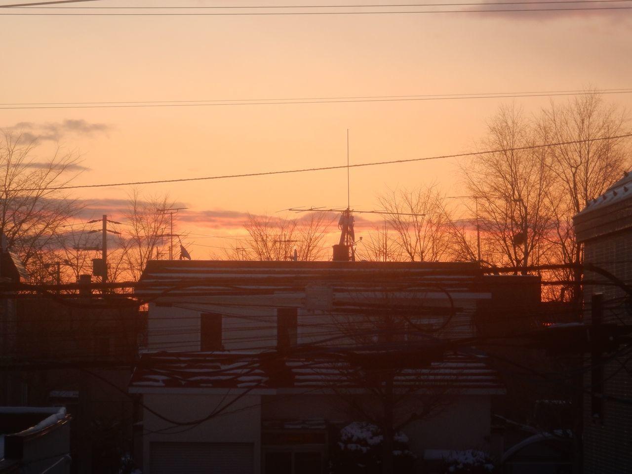 c0025115_21535741.jpg