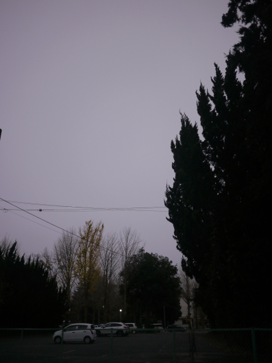b0136223_16521422.jpg