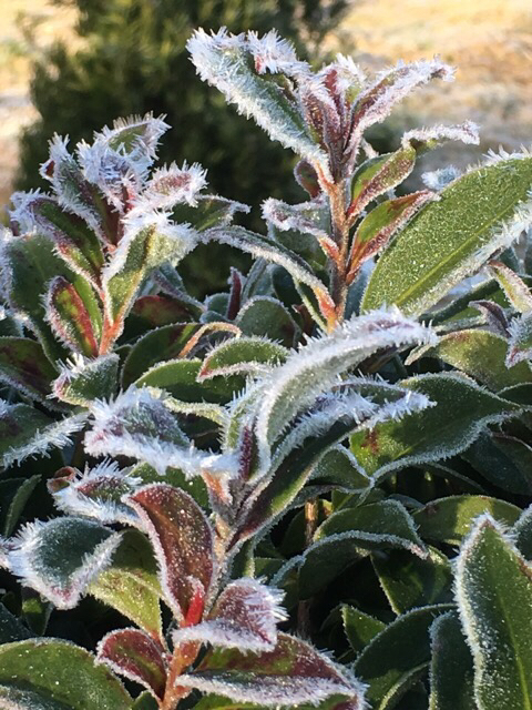 c0212823_10101880.jpg