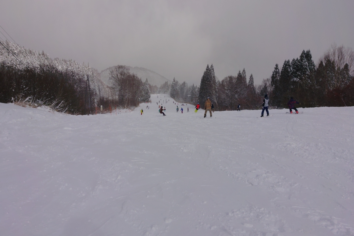 b0062024_21352660.jpg