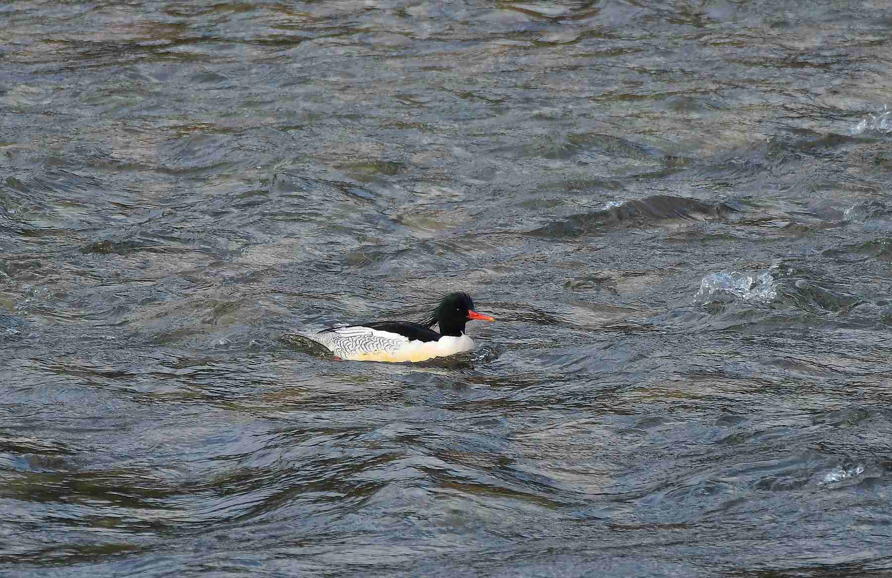 d0173131_06043488.jpg