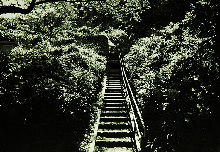 c0381632_19020975.jpg