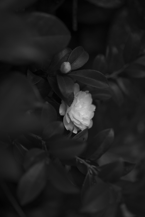 e0342136_20180075.jpg