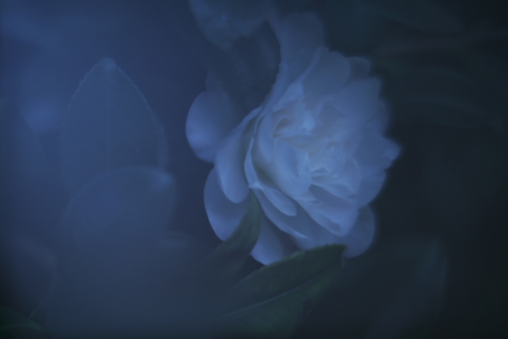 e0342136_20212845.jpg