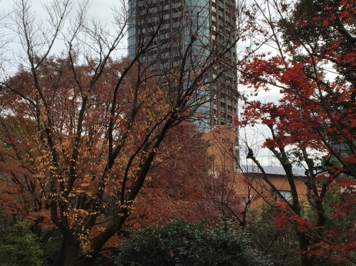 b0330040_07175733.jpeg