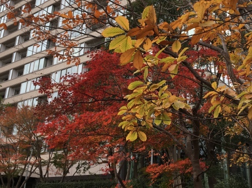 b0330040_09542296.jpeg