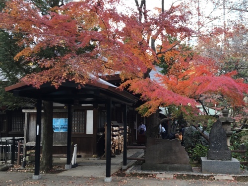 b0330040_11083947.jpeg