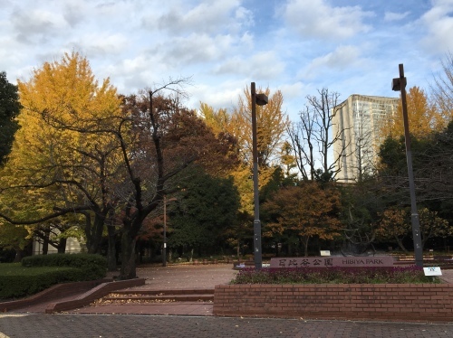 b0330040_11343579.jpeg