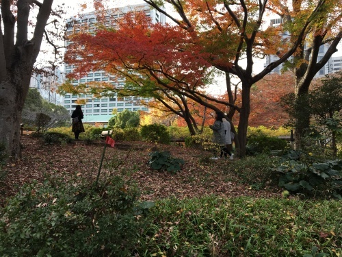 b0330040_11465654.jpeg