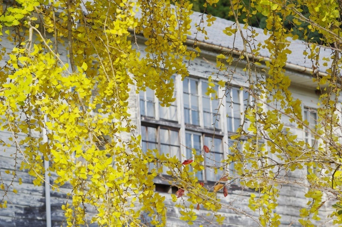 c0281841_15345091.jpg