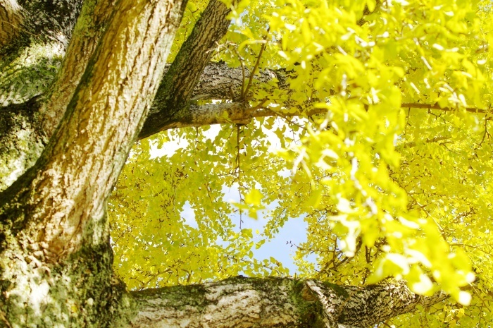 c0281841_15350992.jpg