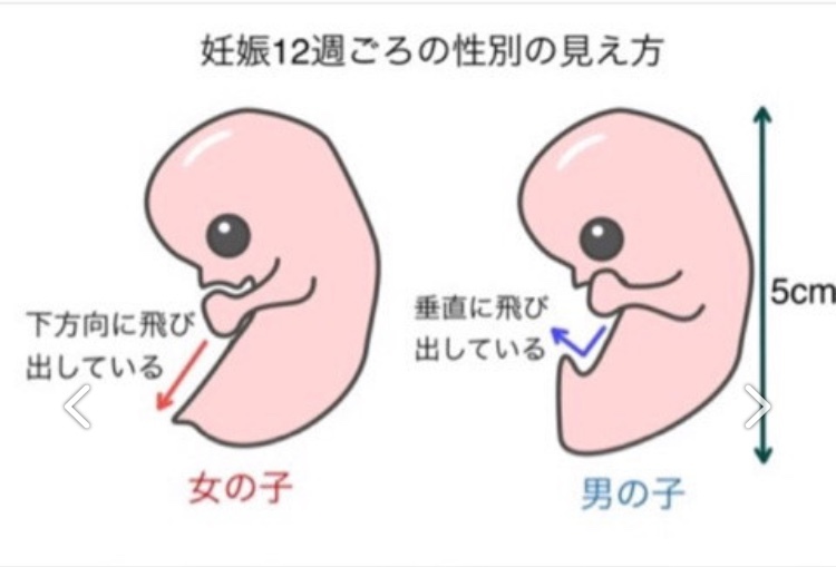 Baby Nubで女の子 山ときどき旅 そして今度は台湾