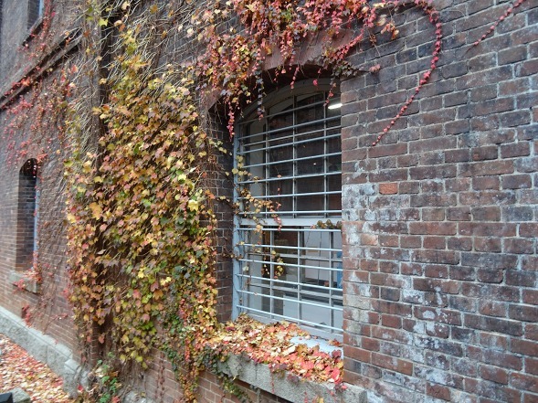 b0299042_10465760.jpg